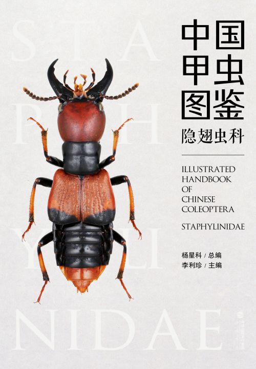 中國甲蟲圖鑒（隱翅蟲科）